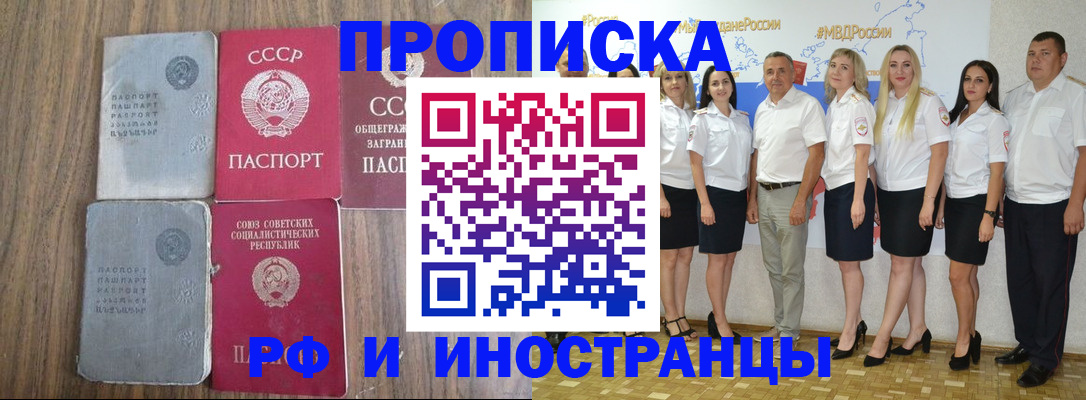 временная регистрация поиск в Тереке